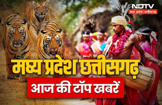 MP-Chhattisgarh News Live: कभी देखा है इतना बढ़ा घड़ियाल, केंद्रीय मंत्री शिवराज पहुंचे रायपुर, MP में जिंदा जला दिव्यांग; आज की बड़ी खबरें