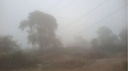 Rajasthan weather: राजस्थान में मकर संक्रांति पर भी कोल्ड टॉर्चर'जारी, अगले 4 दिन कड़ाके की ठंड, फिर 18 जनवरी से बारिश का अलर्ट