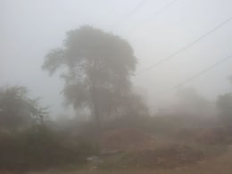 Rajasthan weather: राजस्थान में मकर संक्रांति पर भी कोल्ड टॉर्चर'जारी, अगले 4 दिन कड़ाके की ठंड, फिर 18 जनवरी से बारिश का अलर्ट