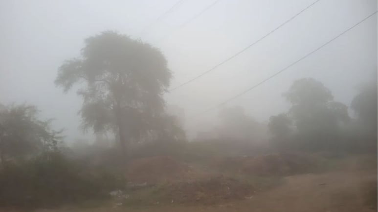 Rajasthan weather: राजस्थान में मकर संक्रांति पर भी कोल्ड टॉर्चर'जारी, अगले 4 दिन कड़ाके की ठंड, फिर 18 जनवरी से बारिश का अलर्ट