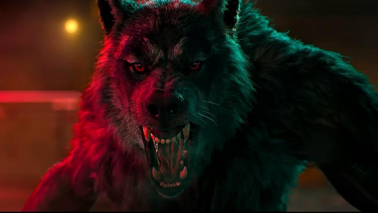 वैम्पायर बने ऑडियंस की पहली पसंद, जनवरी 2026 के फर्स्ट वीक में भी OTT पर विनर रही ये हॉरर फिल्म