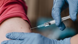 Human Rabies To Be Declared Notifiable Disease In Delhi: What This Means