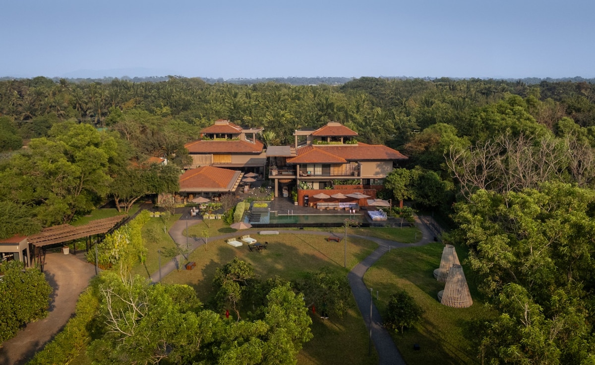 What A Goa Trip Looks Like Without A Hangover