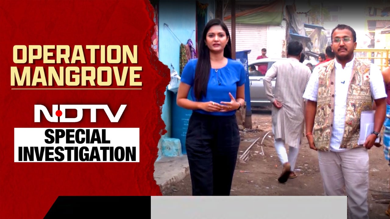 Operation Mangrove: 2 Days Before BMC Polls, A Story That Will Quake Mumbai