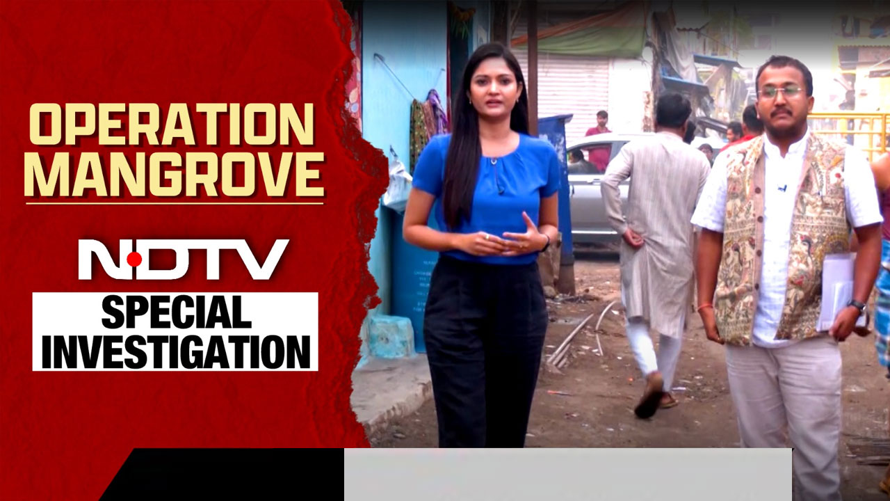 Operation Mangrove: 2 Days Before BMC Polls, A Story That Will Quake Mumbai