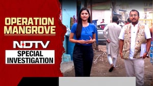 Operation Mangrove: 2 Days Before BMC Polls, A Story That Will Quake Mumbai