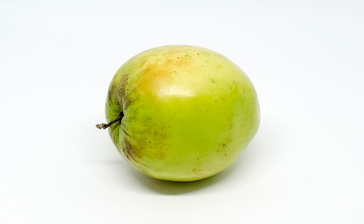 5 Health Benefits Of Eating Ber Or Kul Fruit