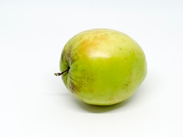 5 Health Benefits Of Eating Ber Or Kul Fruit