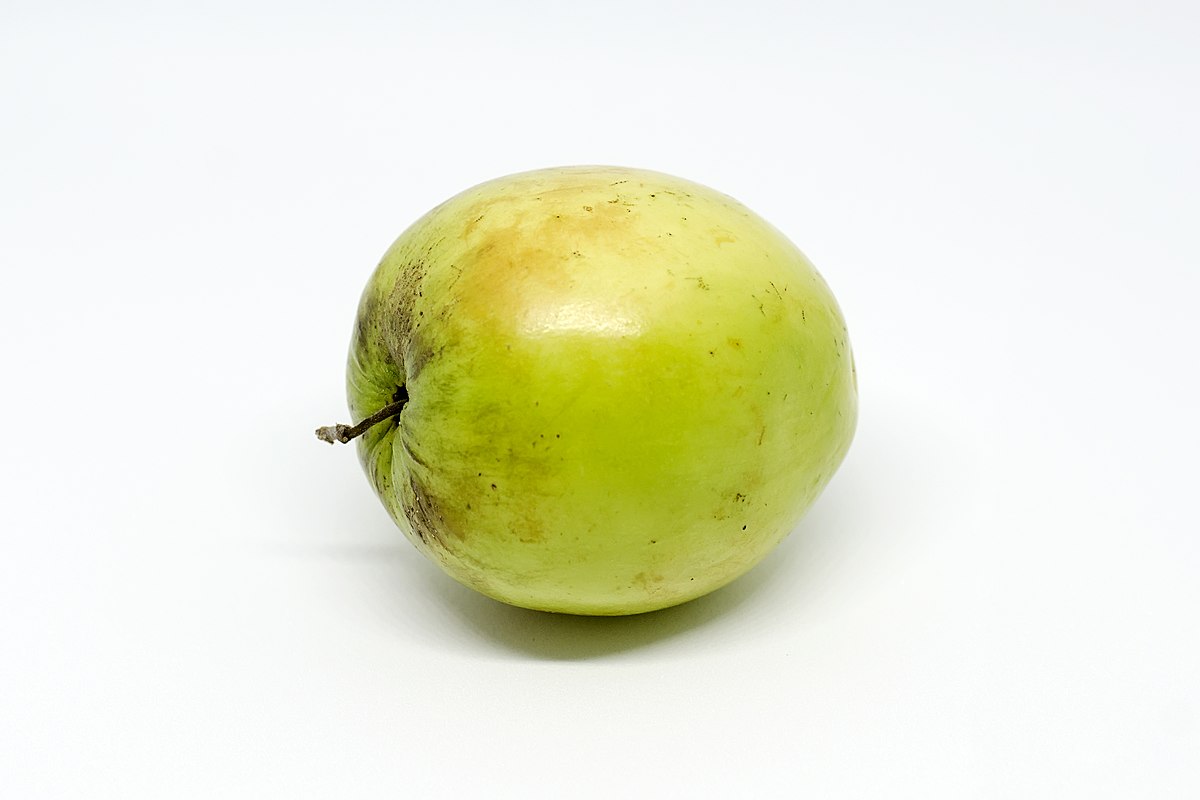 Ber, or kul fruit, is a functional food that should be a part of a healthy diet in moderation