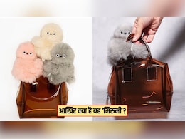 Labubu के बाद आया 'Mirumi', जानिए क्या है यह नया ट्रेंड, सोशल मीडिया पर क्यों मचा रहा धमाल