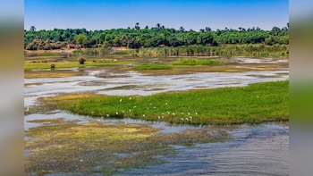 India Gets Ramsar Tag For Two Wetlands, PM Modi Lauds Efforts