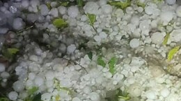 Rajasthan weather: राजस्थान में ओलों से बढ़ी गलन के बीच कोहरे का येलो अलर्ट, 48 घंटे बाद फिर 20 जिलों में बरसेंगे बादल