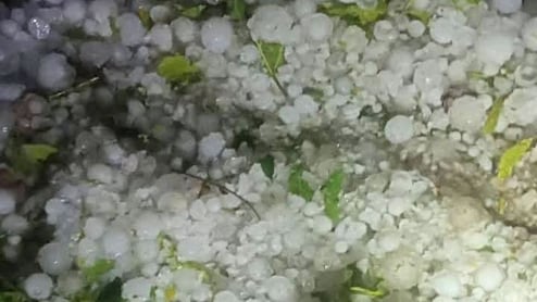 Rajasthan weather: राजस्थान में ओलों से बढ़ी गलन के बीच कोहरे का येलो अलर्ट, 48 घंटे बाद फिर 20 जिलों में बरसेंगे बादल