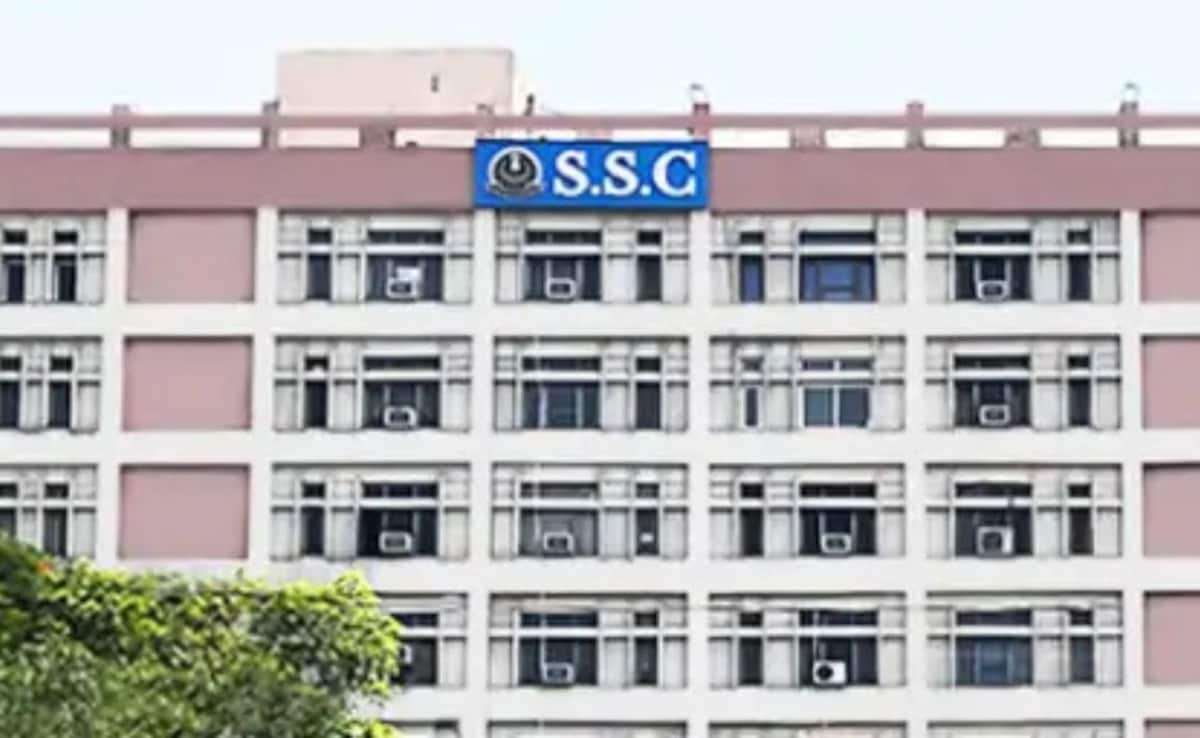 The Art of Baking: From Classic Bread to Artisan Pastries