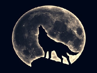 Wolf Moon 2026: पौष पूर्णिमा पर आसमान में दिखेगा 'वूल्फ मून' का खास नजारा, कब और कैसे देखें, जानें यहां