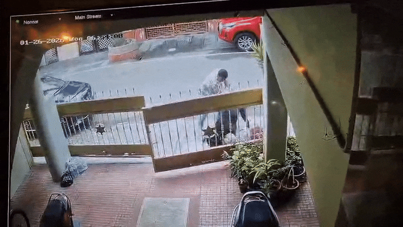 Latest and Breaking News on NDTV