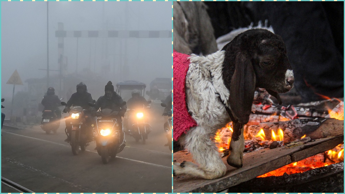 दिल्ली समेत इन जगहों पर हाड़ कंपाने वाली ठंड, ये 5 राज्य बहुत घने कोहरे की चपेट में; जानें अपने शहर का हाल