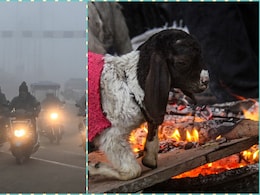 दिल्ली समेत इन जगहों पर हाड़ कंपाने वाली ठंड, ये 5 राज्य बहुत घने कोहरे से सावधान! जानें अपने शहर का हाल