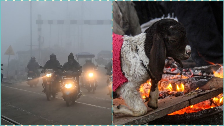 अगले 5 दिन सावधान! यूपी, दिल्ली से एमपी तक 9 राज्यों में गलाने वाली ठंड, कोहरा भी ढाएगा कहर