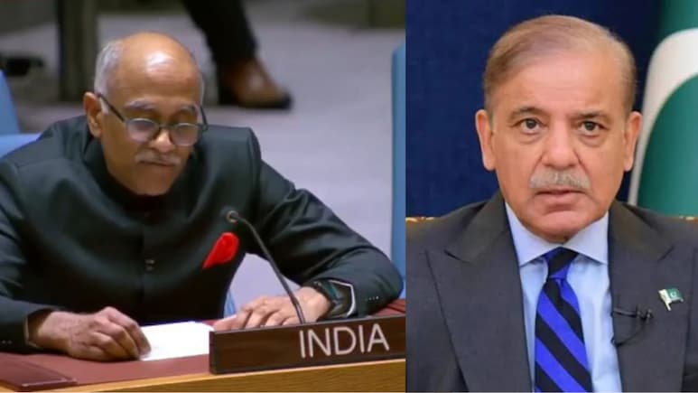 UN के मंच से भारत ने पाकिस्तान को जमकर लताड़ा, आतंकवाद और सिंधु जल संधि पर शहबाज सरकार का डबल स्टैंडर्ड एक्सपोज