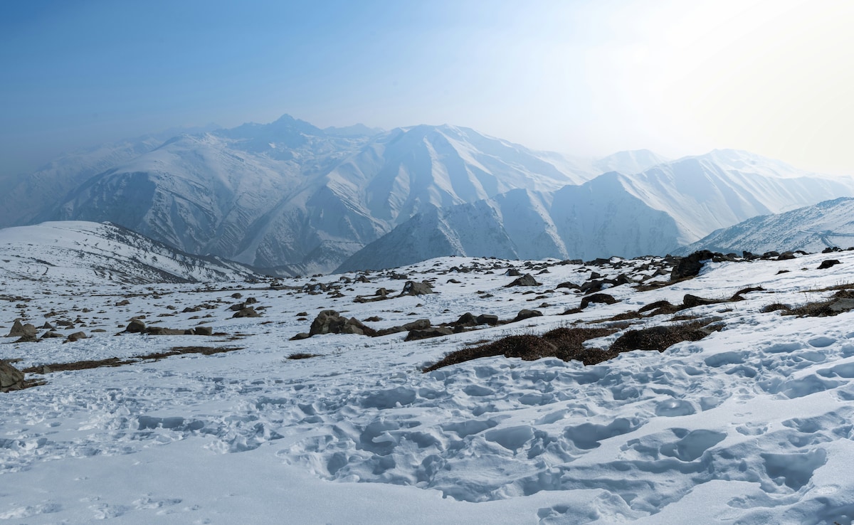 Latest and Breaking News on NDTV