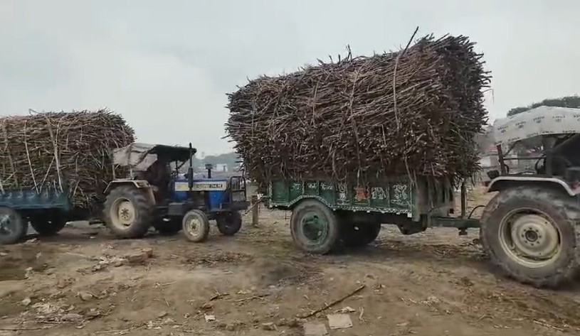 India Bans Sugar Exports Till September 2026 Amid Domestic Supply Concerns