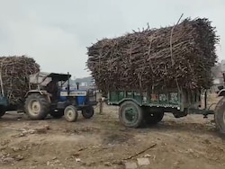 India Bans Sugar Exports Till September 2026 Amid Domestic Supply Concerns