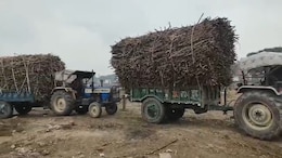 India Bans Sugar Exports Till September 2026 Amid Domestic Supply Concerns