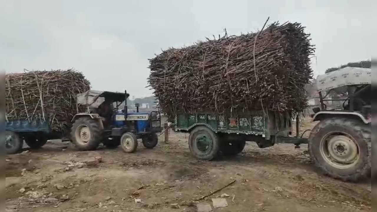 Despite Record Production, India's Sugar Mills Shutting Down. Here's Why