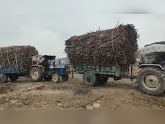 Despite Record Production, India's Sugar Mills Shutting Down. Here's Why