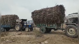 Despite Record Production, India's Sugar Mills Shutting Down. Here's Why