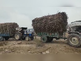 Despite Record Production, India's Sugar Mills Shutting Down. Here's Why