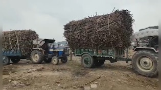Despite Record Production, India's Sugar Mills Shutting Down. Here's Why