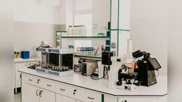 Dr Reddy's Laboratories Shares Rise Despite Q3 Profit Decline &mdash; Here's Why