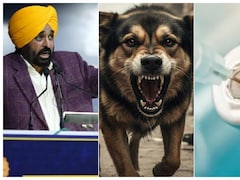 पंजाब में कुत्ते के काटने का मतलब अब खर्चा नहीं, मान सरकार 881 क्लीनिकों पर मुफ्त दे रही एंटी-रेबीज वैक्सीन