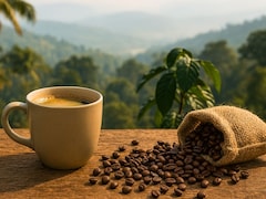 5 Scenic Coffee Destinations In South India Perfect For Your Next Getaway