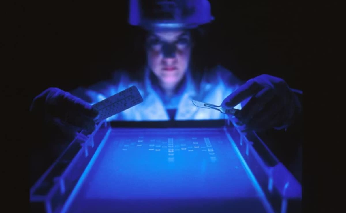 India Launches First Government AI Clinic for Early Disease Detection