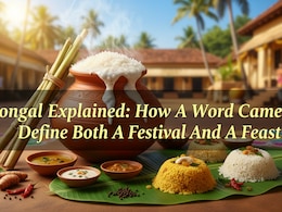Pongal Explained: How A Word Came To Define Both A Festival And A Feast