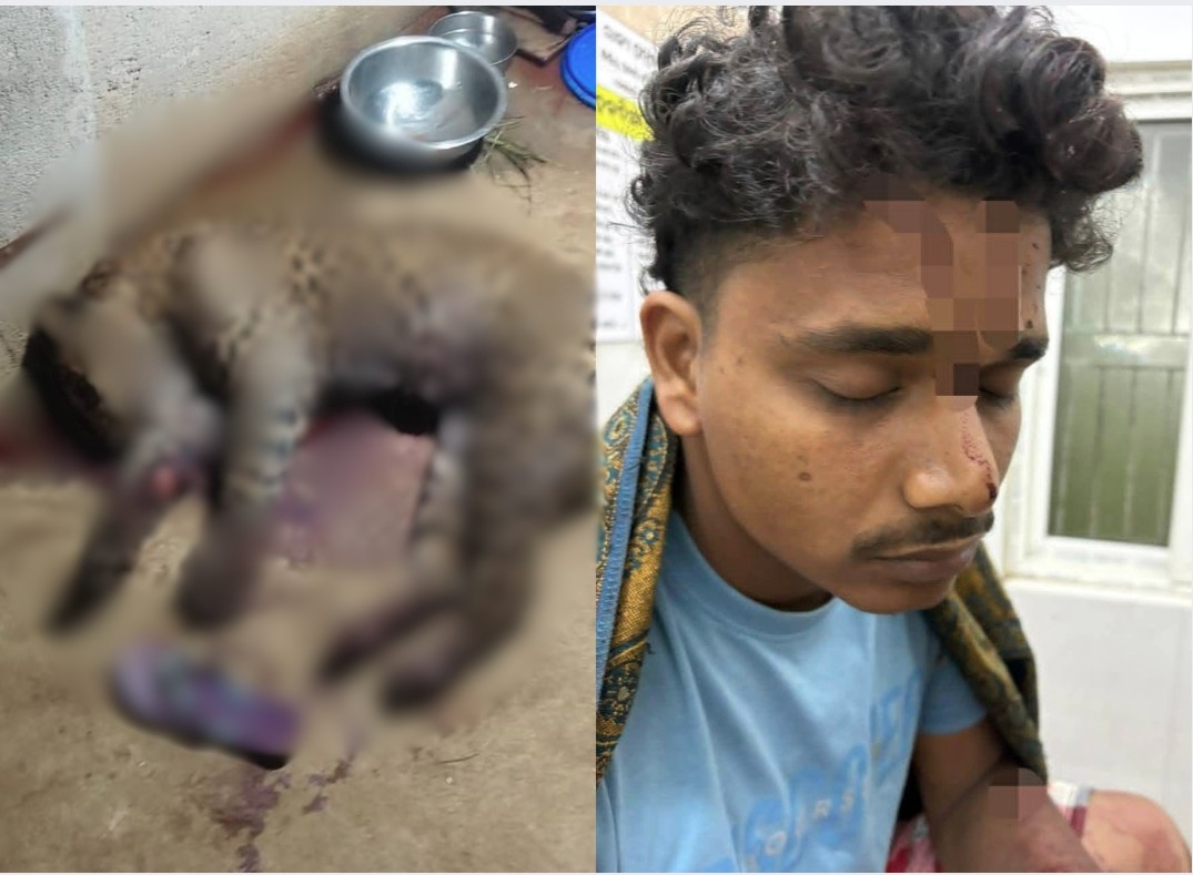 How An Odisha Man Killed A Leopard Who Attacked Him And Pet Dog