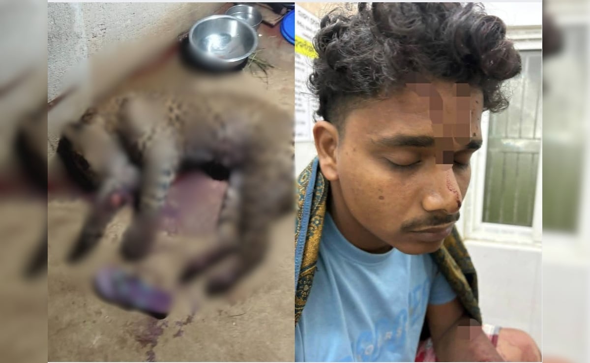 How An Odisha Man Killed A Leopard Who Attacked Him And Pet Dog