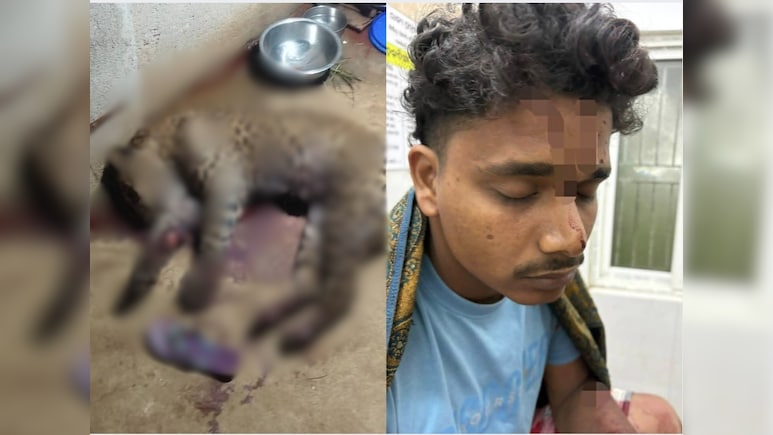 How An Odisha Man Killed A Leopard Who Attacked Him And Pet Dog