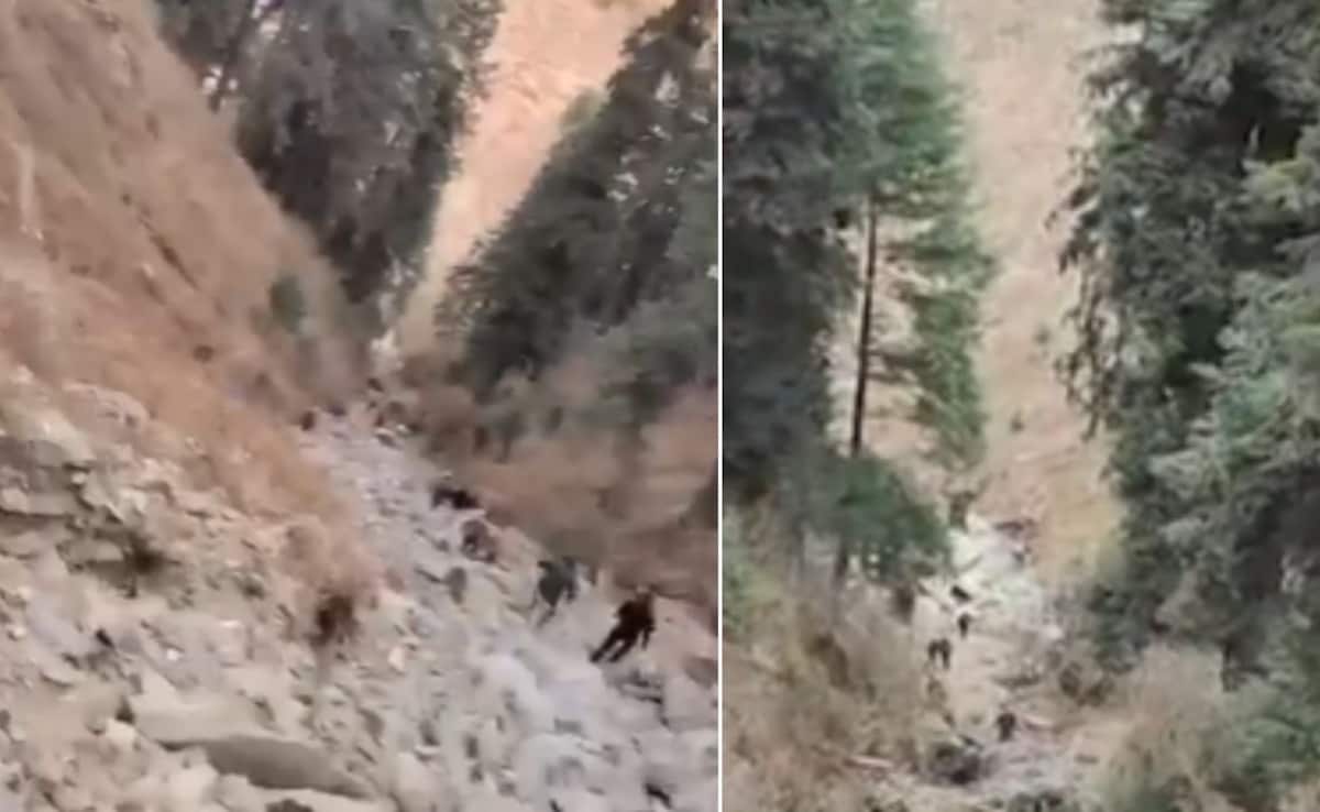 10 Army Personnel Killed, 10 Injured As Vehicle Falls Into Gorge In J&K's Doda