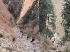 10 Indian Army Soldiers Die In Road Accident In Jammu & Kashmir