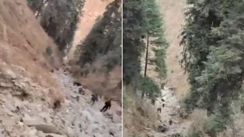 10 Indian Army Soldiers Die In Road Accident In Jammu & Kashmir