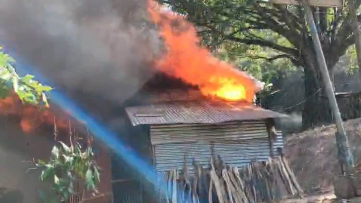 Latest and Breaking News on NDTV