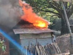 Video: Naga Insurgents Claim To Burn Poppy Farms, Kukis Allege Attack In Manipur's Kangpokpi