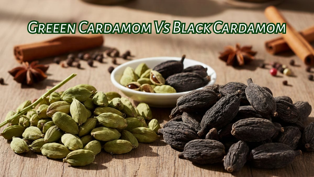 Green Cardamom vs Black Cardamom: Understand The Difference Between The Two Distinct Spices