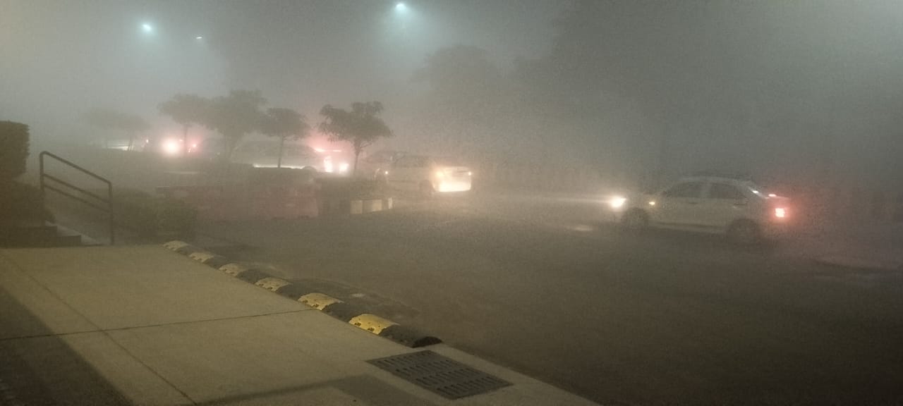 भयंकर कोहरे की चपेट में दिल्ली-NCR, आने वाले दिनों में भी बढ़ेगी दिक्कत, आज यहां हो सकती है बारिश-बर्फबारी