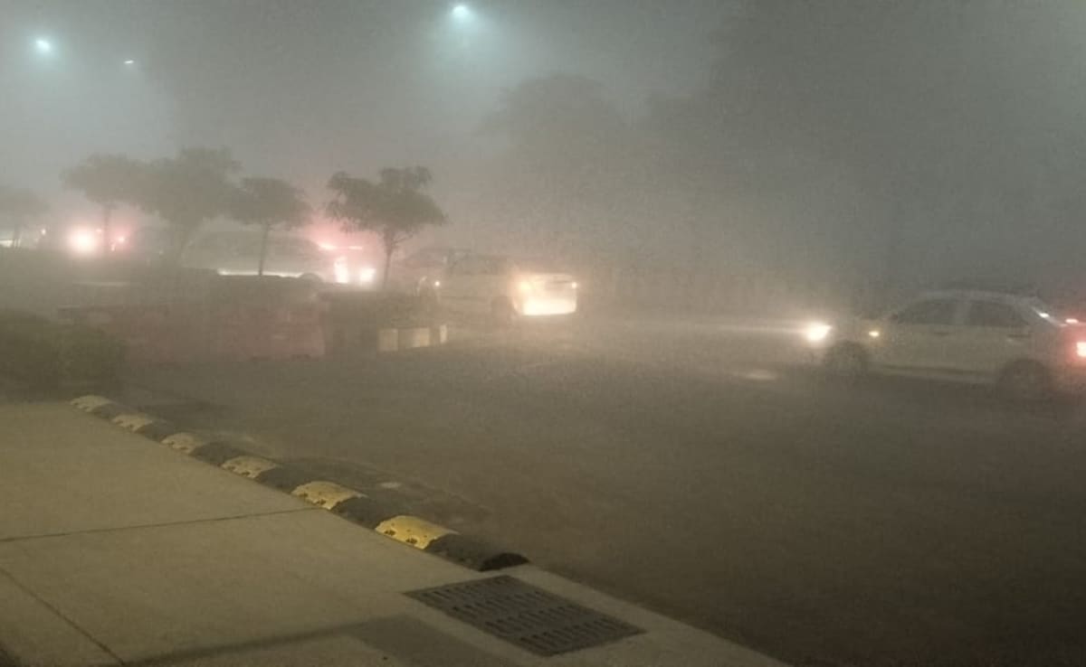 Latest and Breaking News on NDTV