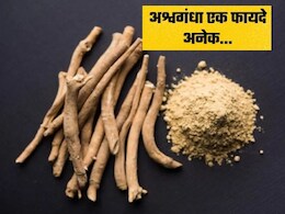 तनाव, नींद की कमी और जोड़ों का दर्द , अश्वगंधा से मिल सकता है तीनों का समाधान- स्टडी में खुलासा